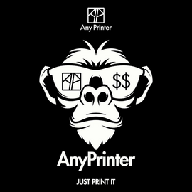 AnyPrinter Audit Report