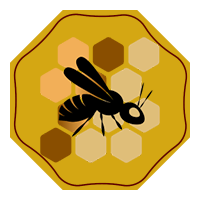 Bees Finance Audit Report