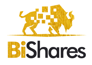  BiSharesFinanceYBF Audit Report