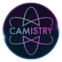 Camistry Audit Report