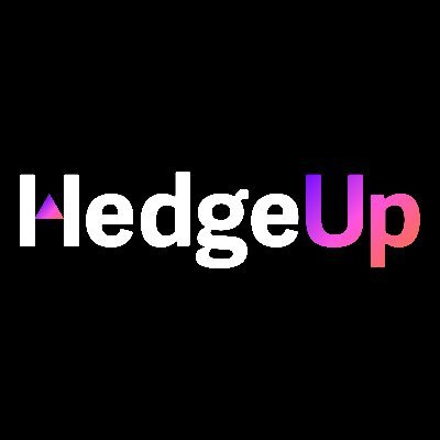 HedgeUp Audit Report