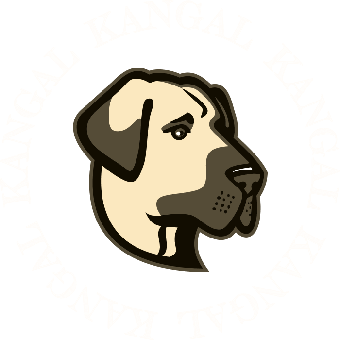 Kangal Token Audit Report