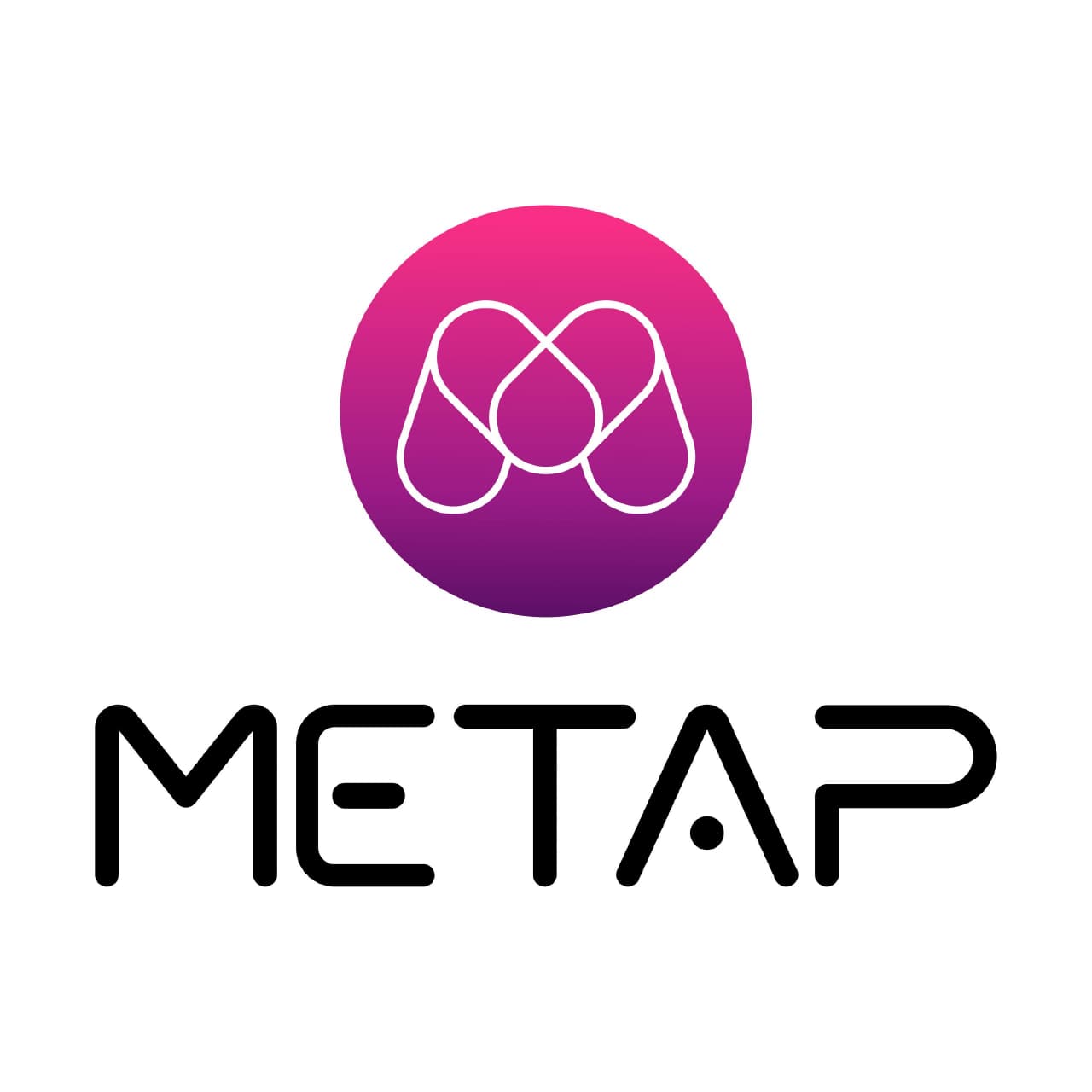 METAP Audit Report
