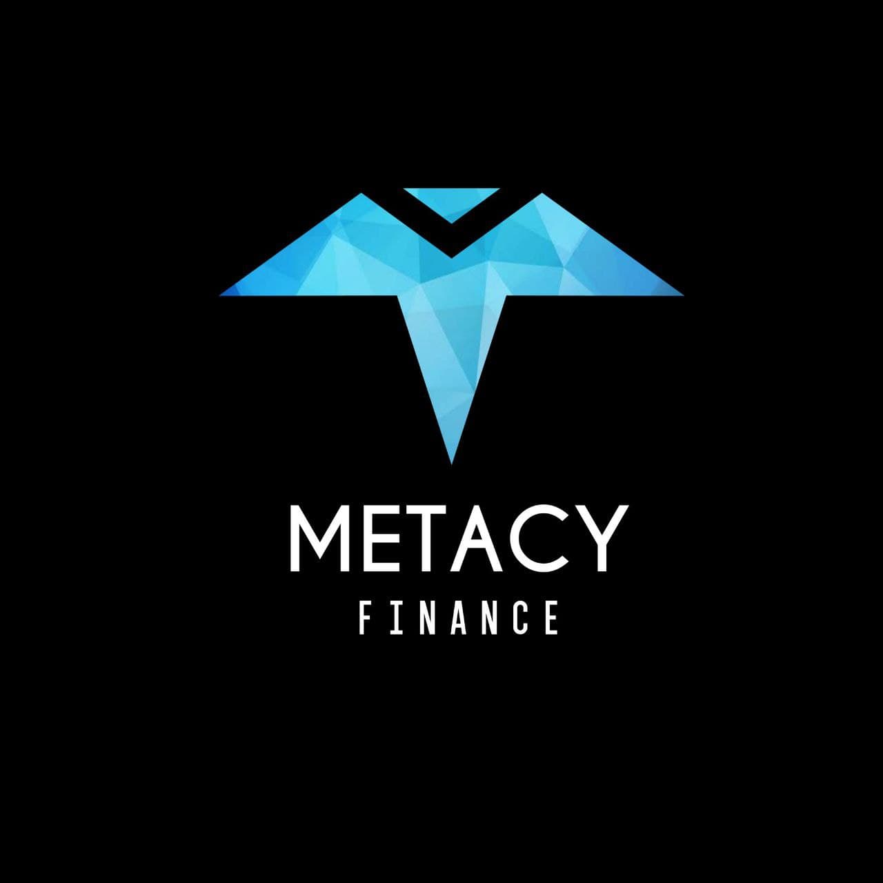 MetacyFinance Audit Report