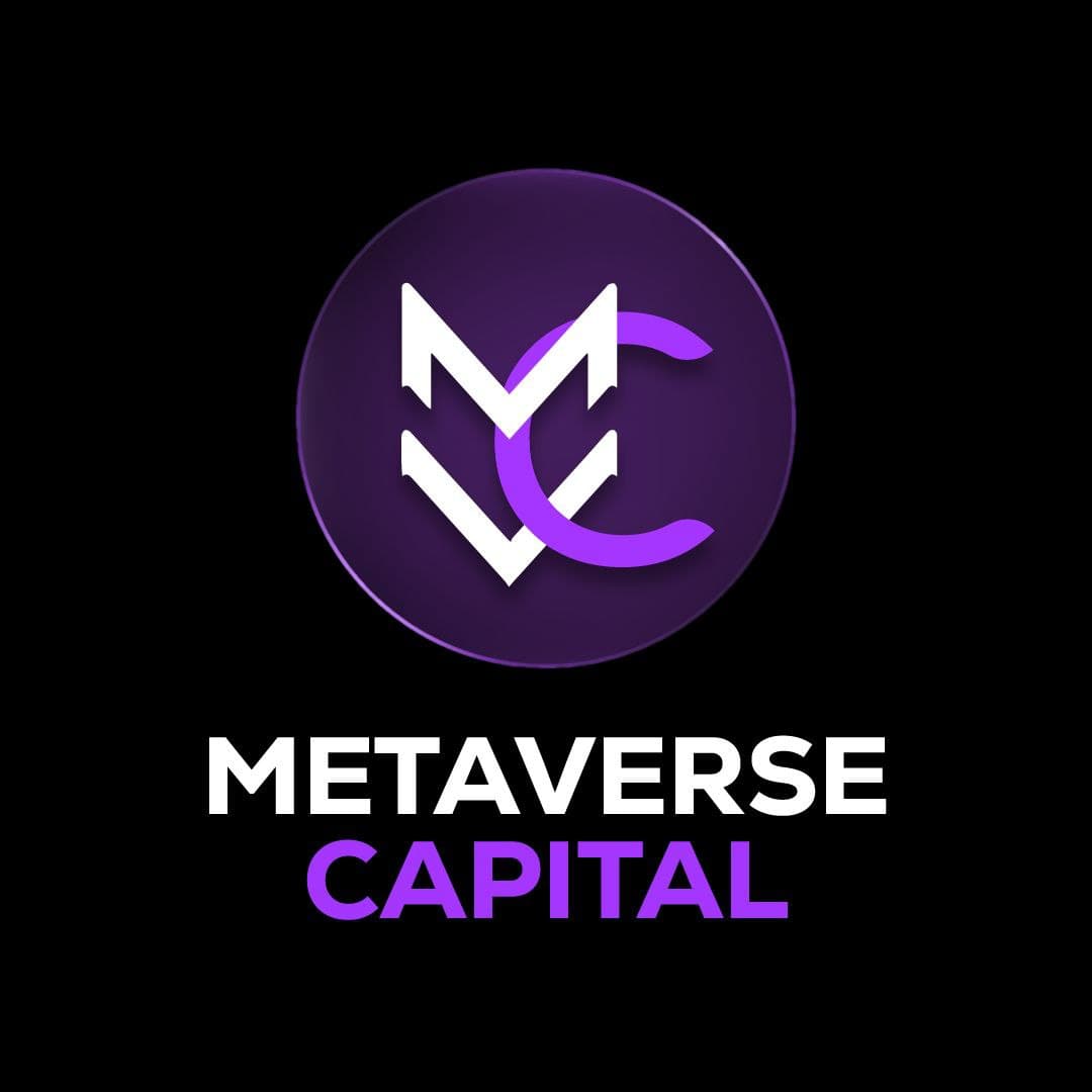 Metaverse Capital Audit Report
