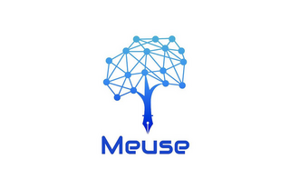 Meuse Audit Report