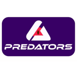 Predator Game Token Audit Report
