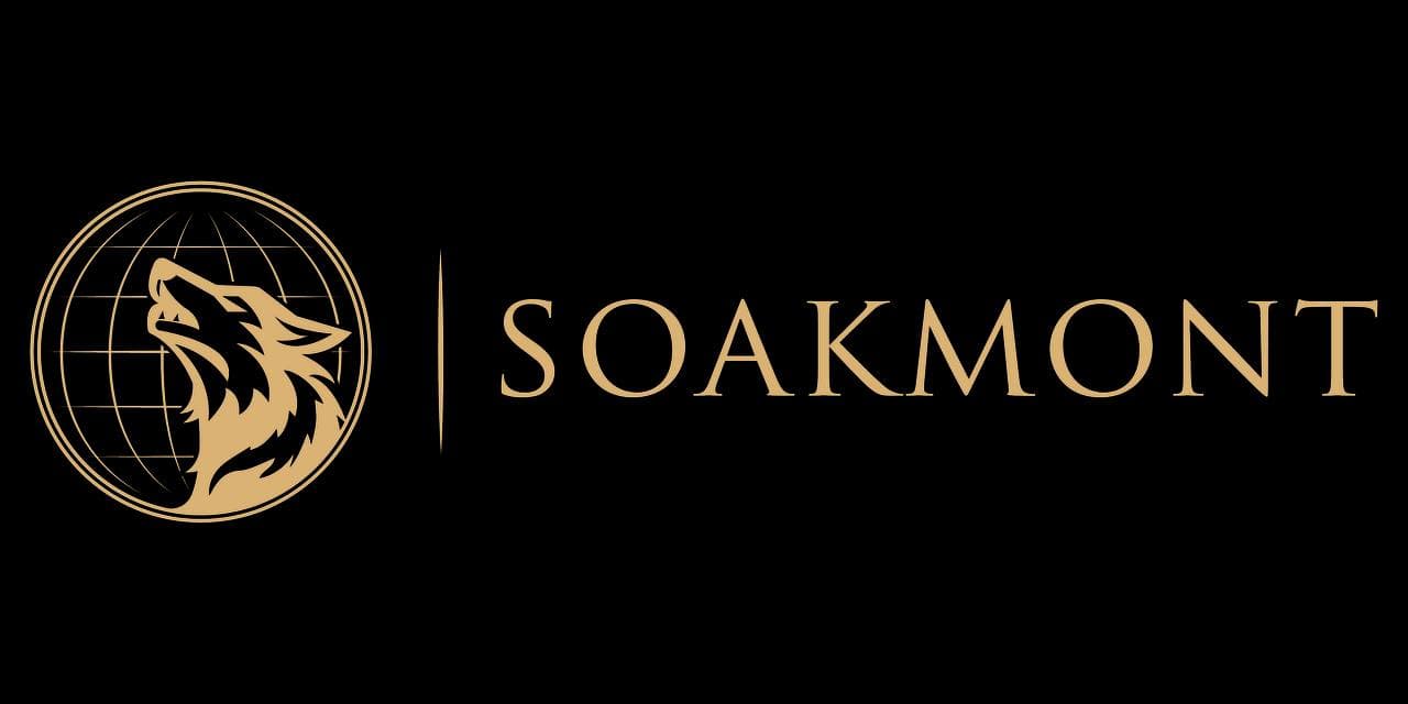 Soakmont Audit Report