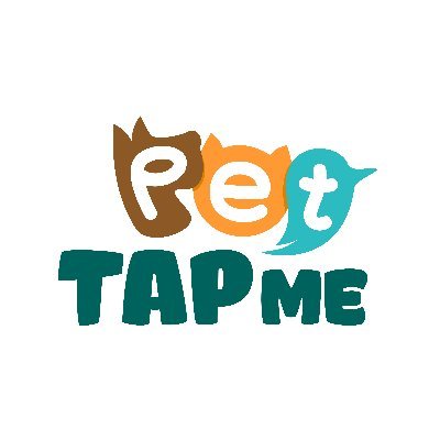 TapMePet Tap Audit Report